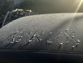 Good mornind sunshine ! ( Szentgál )