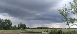 Geszt