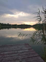 Székesfehérvár