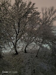 Miskolc