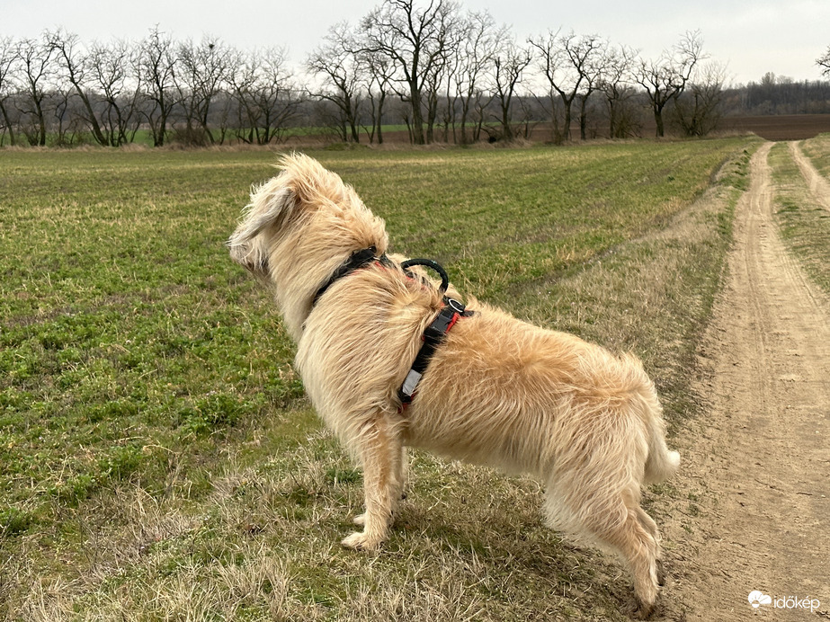 Kicsit fúj a szél :)