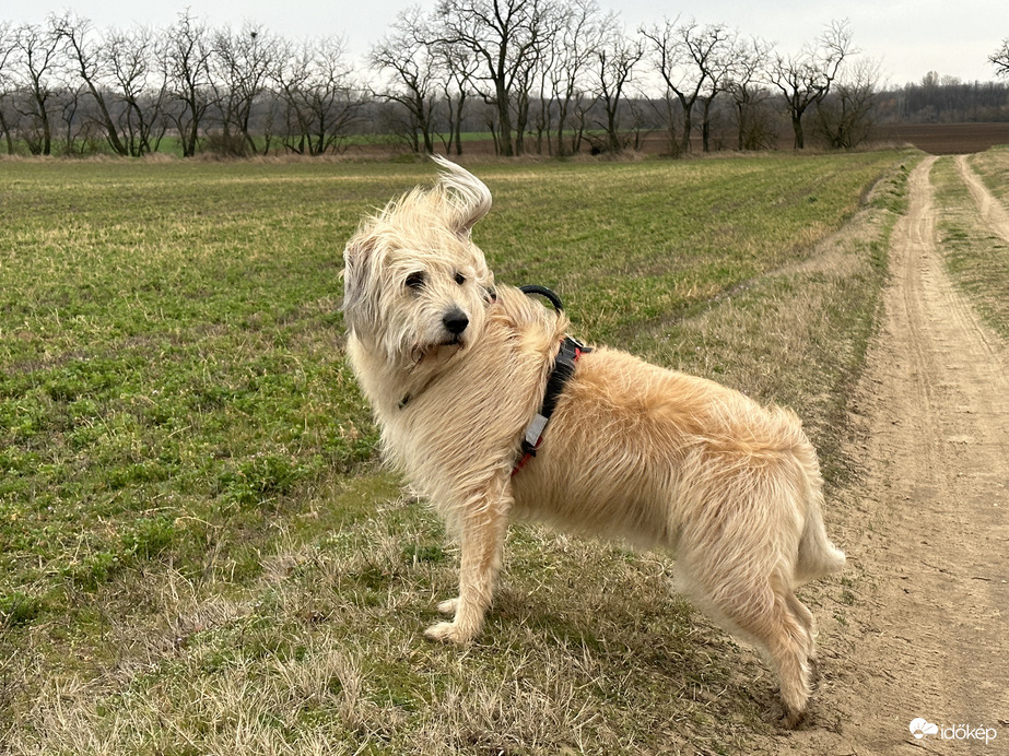 Kicsit fúj a szél :)