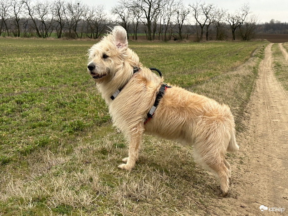 Kicsit fúj a szél :)