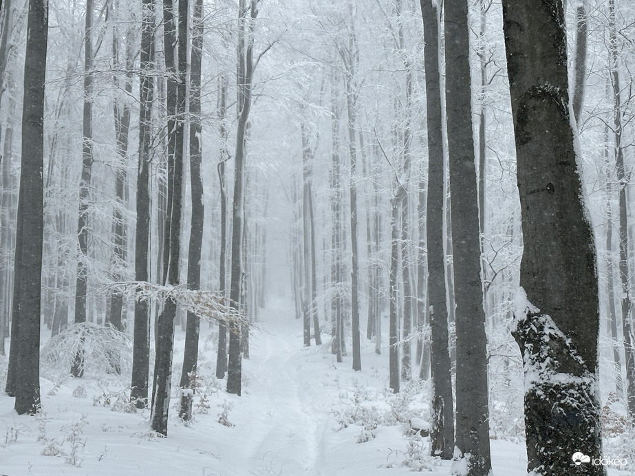 Csóványos 2023.02.03.