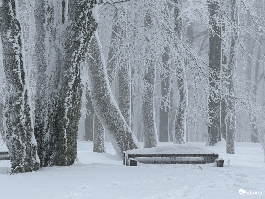 Csóványos 2023.02.03.