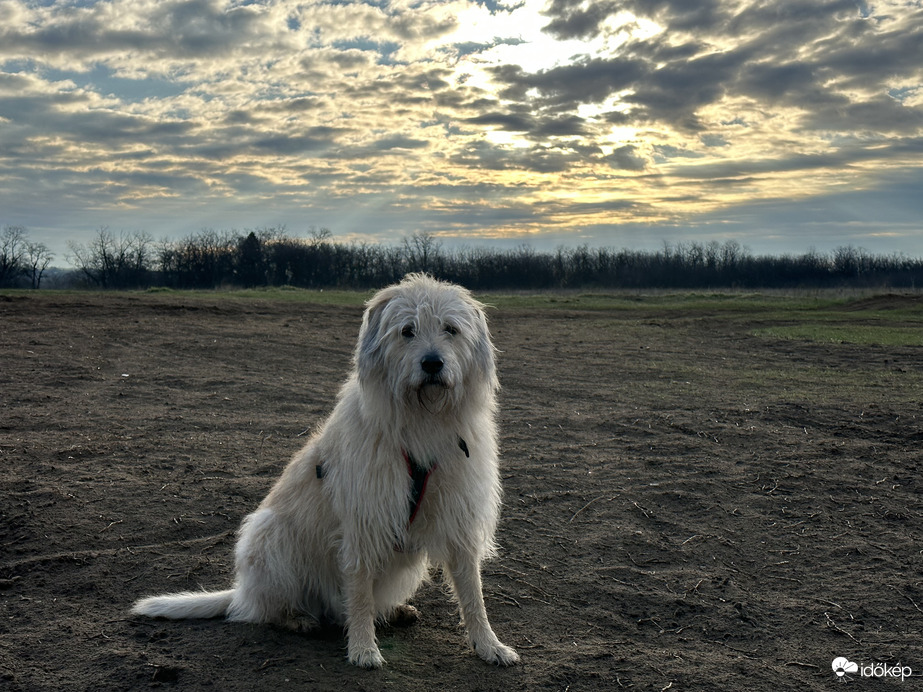 Füge Herceg ma reggel ❤️