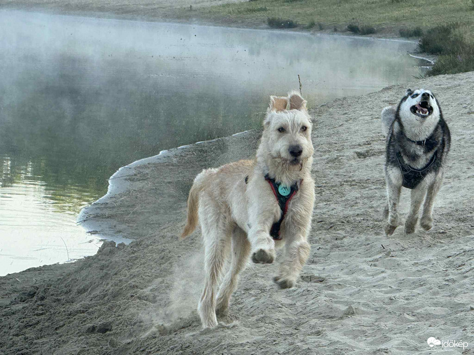 Boldogság 