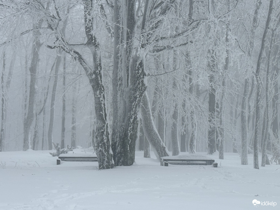 Csóványos 2023.02.03.