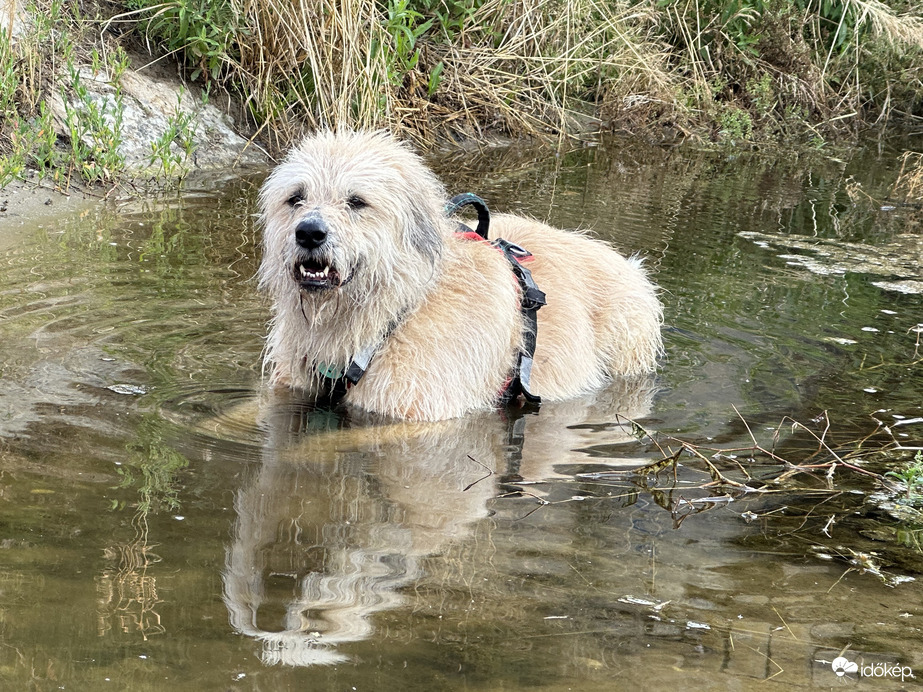 Reggeli futás utáni hűsölés ❤️