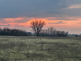 hagnes68 fotója