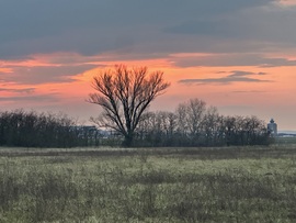 hagnes68 fotója