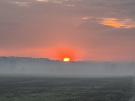 hagnes68 fotója
