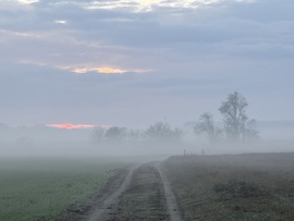 hagnes68 fotója