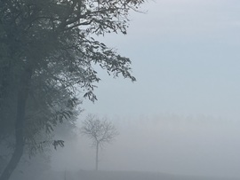 hagnes68 fotója
