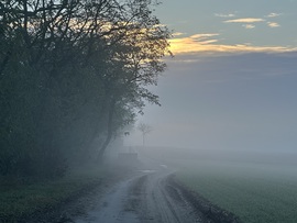 hagnes68 fotója