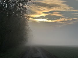 hagnes68 fotója