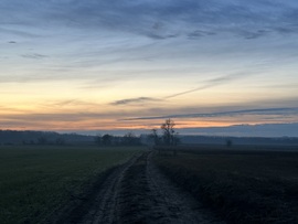 hagnes68 fotója