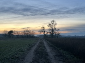 hagnes68 fotója