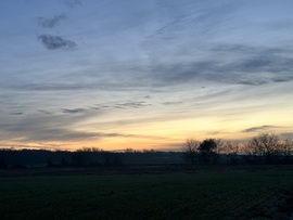 hagnes68 fotója