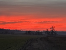 hagnes68 fotója