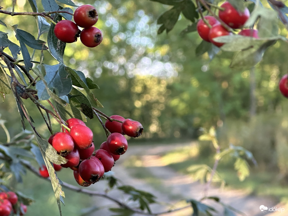 Csodás reggelünk ❤️