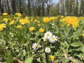 hagnes68 fotója