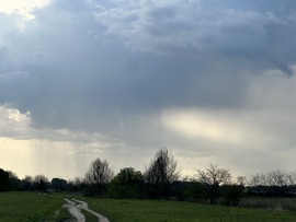 hagnes68 fotója