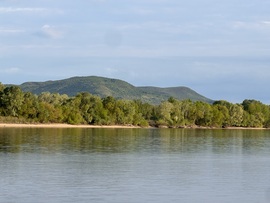 Jó reggelt 