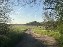 hagnes68 fotója