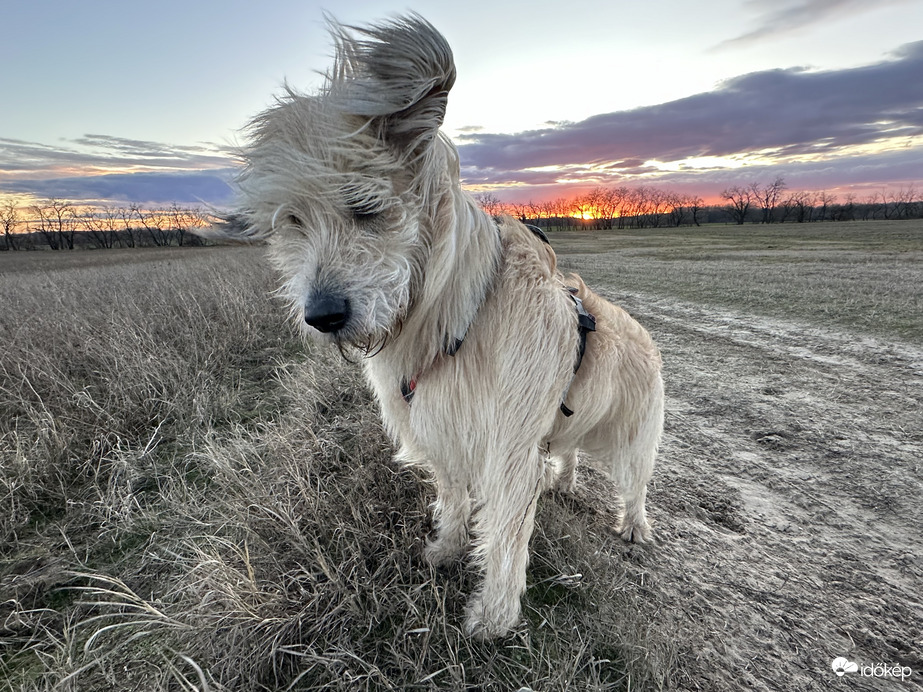 Nagyon fúj a szél :)