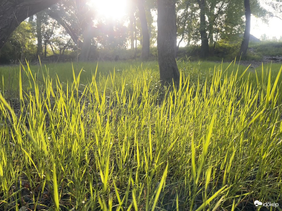 Szép reggel