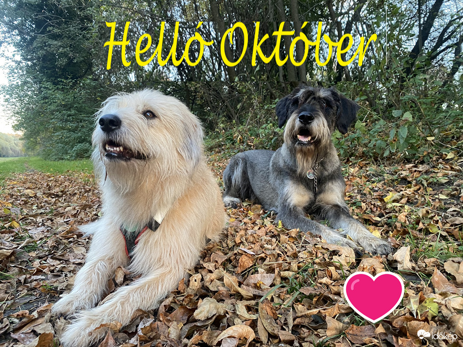 Helló Október