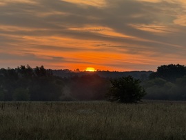 hagnes68 fotója