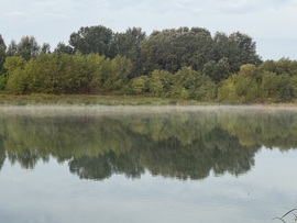 hagnes68 fotója