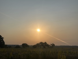 hagnes68 fotója