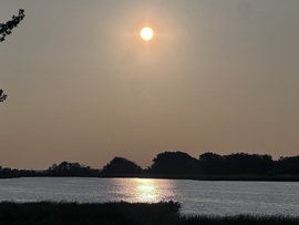 Napfelkelte