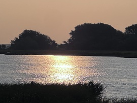Napfelkelte