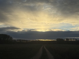 hagnes68 fotója