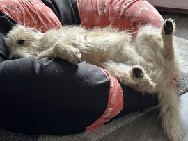  ez egy ilyen nap…