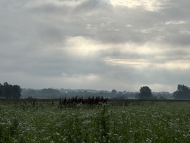 hagnes68 fotója