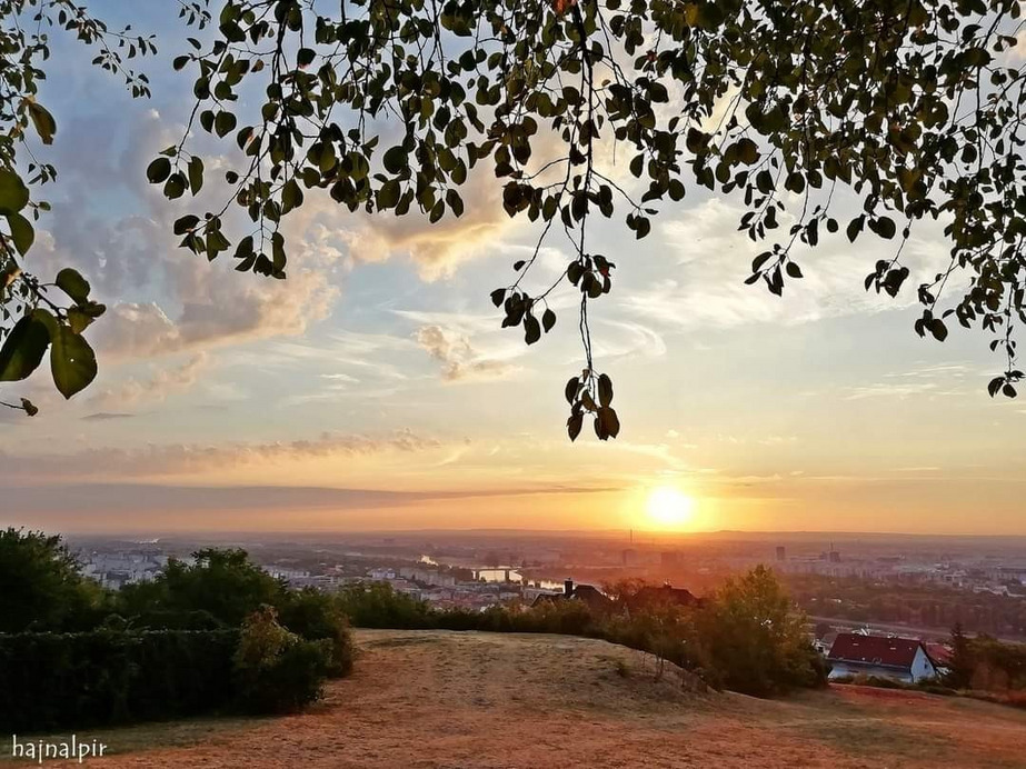 Budapest II.ker - Rózsadomb
