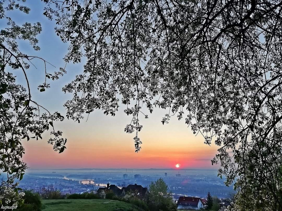 Budapest II.ker - Rózsadomb