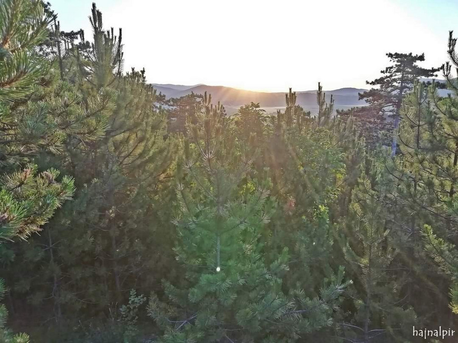 Pilisszentiván