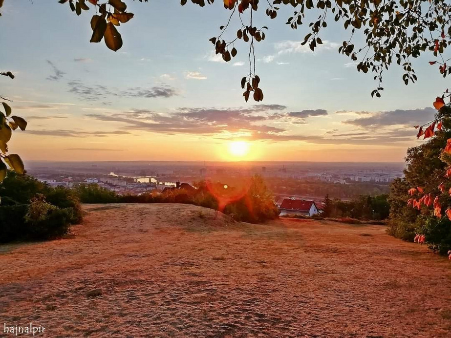 Budapest II.ker - Rózsadomb