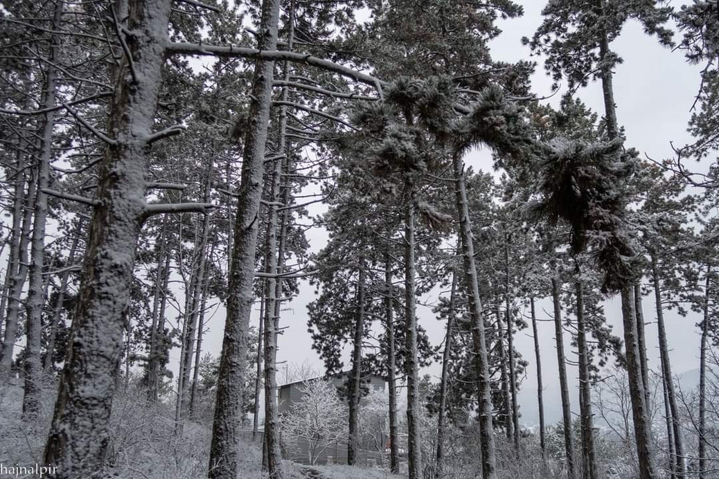 Pilisszentiván