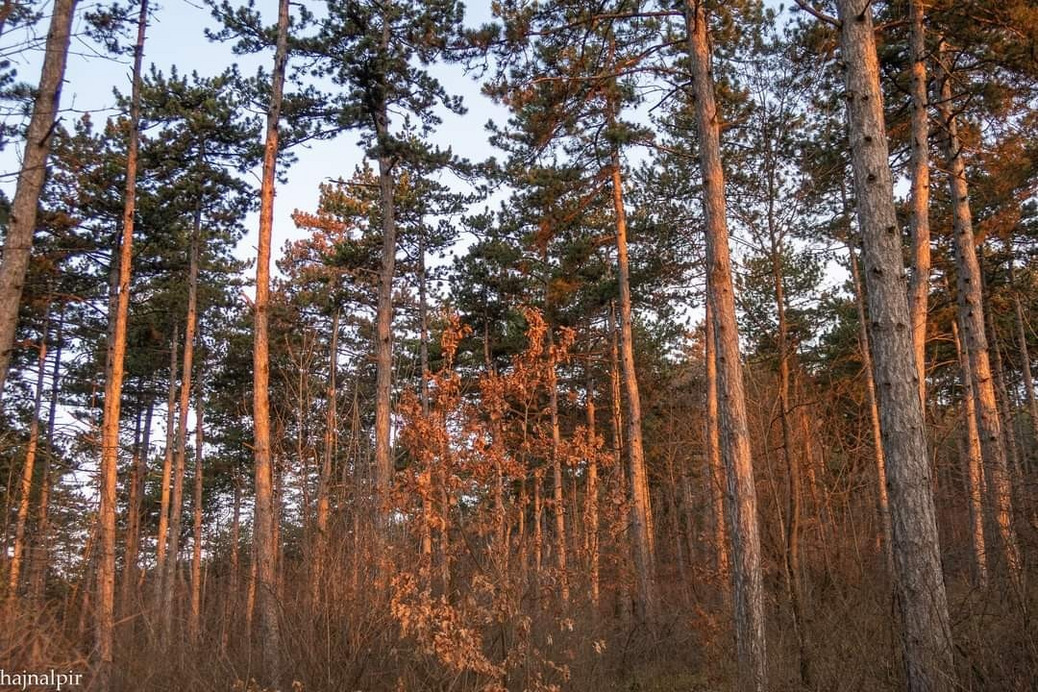 Pilisszentiván