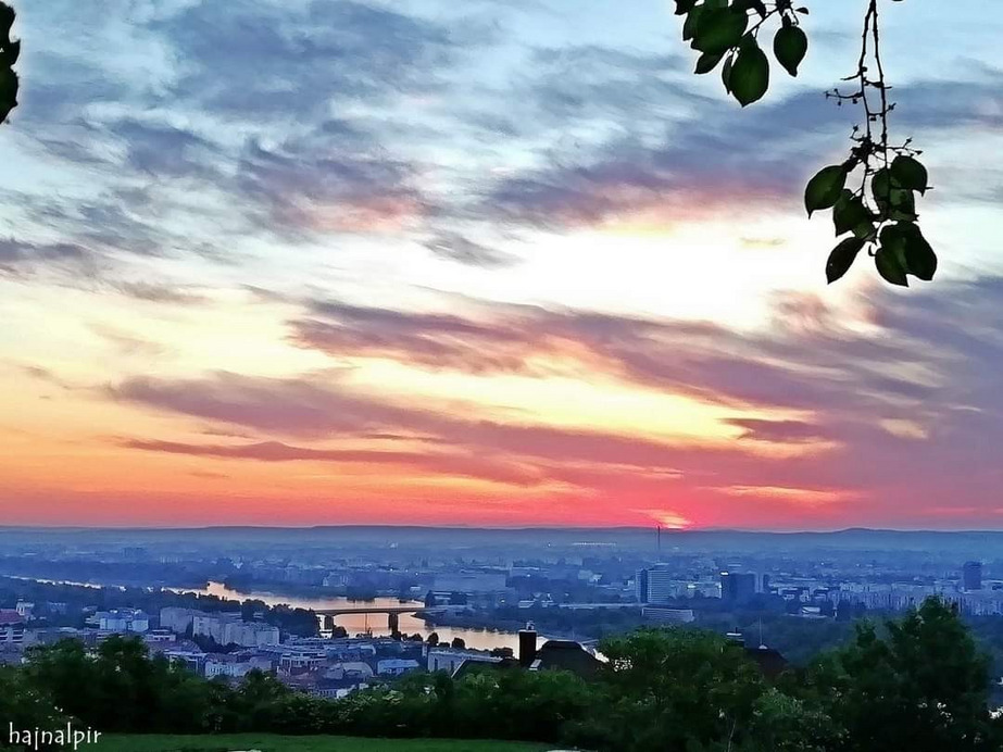 Budapest II.ker - Rózsadomb