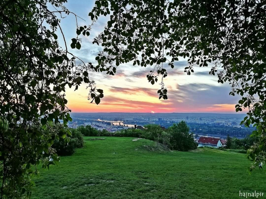 Budapest II.ker - Rózsadomb