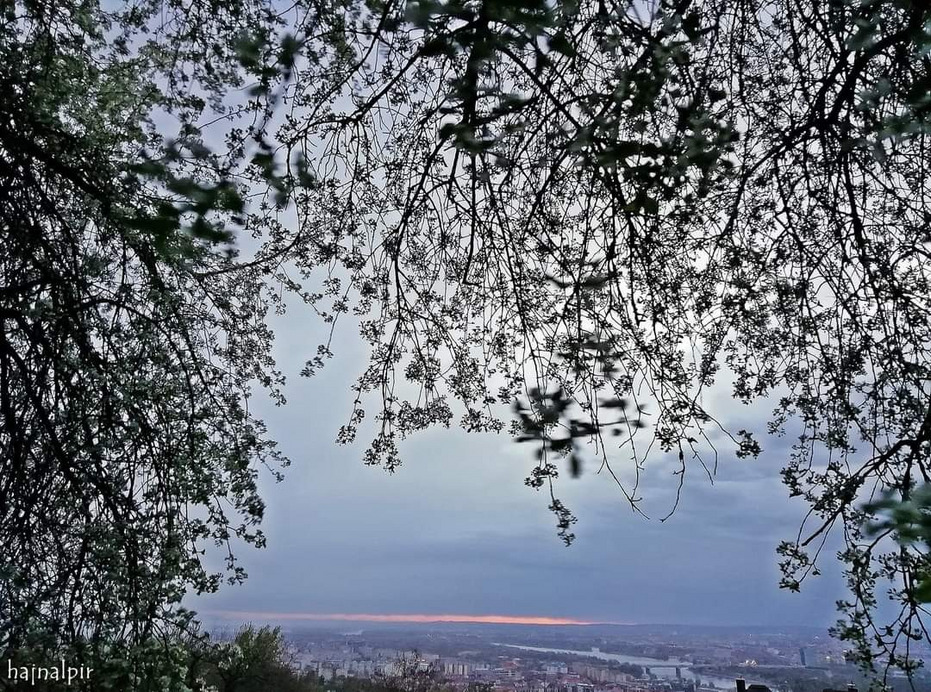 Budapest II.ker - Rózsadomb