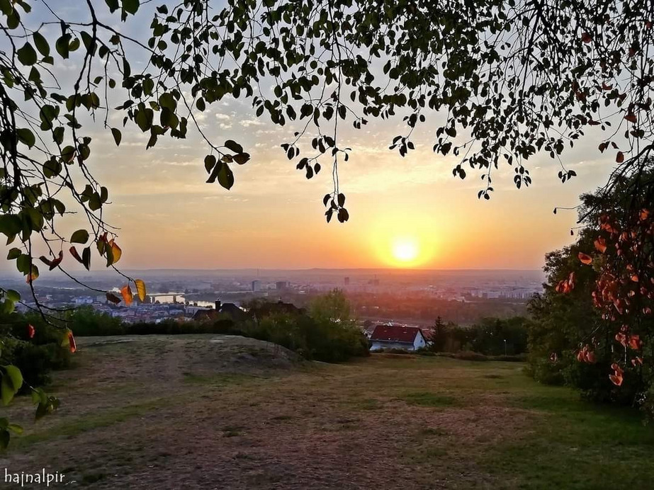 Budapest II.ker - Rózsadomb